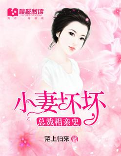 霸道总裁相亲记