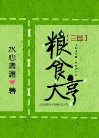 粮食大亨 三国男主