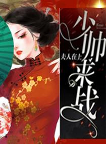 夫人少帅又在作死了