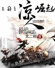 三国之凉人崛起写的如何