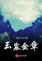 玉宸金章txt米趣