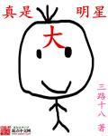 我真是大明星的后续