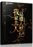 我家夫人是总裁免费阅读全文