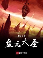大圣盘怎么用不了