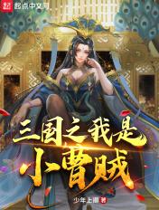 三国之我是曹家长子