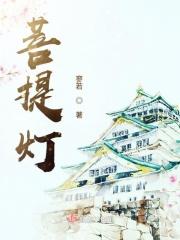 菩提灯一般点几个