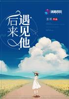后来遇见他陪我春秋冬夏完整版