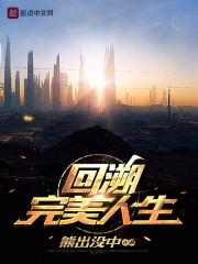 完美人生是什么意思?