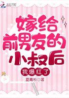 嫁给前男友小叔by宝棠