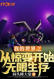 我的世界之从零开始