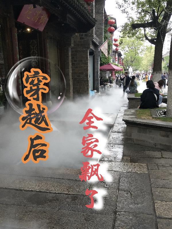 穿越后全家都有金手指