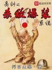 亮剑杀敌爆装系统飞卢