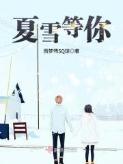 等待夏季雪免费阅读
