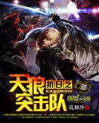抗战之天狼突击队txt